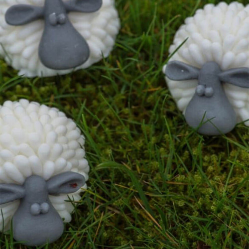 POACSWHGR Vegan Curragh Sheep Design Soap Lemongrass Scent Lifestyle ShamrockGift.com