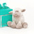 JL-MRT20274M Irish Sheep Baby Cuddly Toy And Box Shamrockgift.com