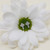 Holy Communion Celtic Cross Earrings S33387 ShamrockGift.com