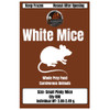 Frozen White Small Pinky Mice (100 Per Bag)ONLY Ship Monday