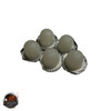 Blue Death Feigning Beetle Jelly 5 Count