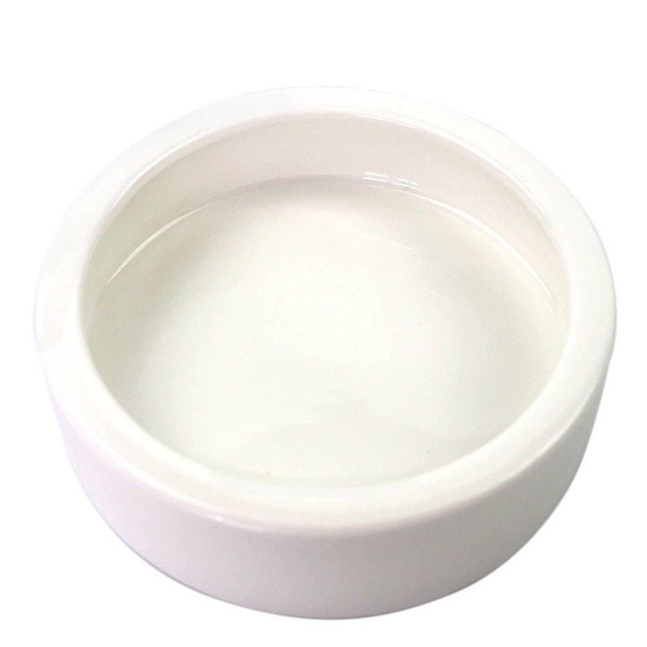 Ceramic Food Bowl for Grubs ABDragons