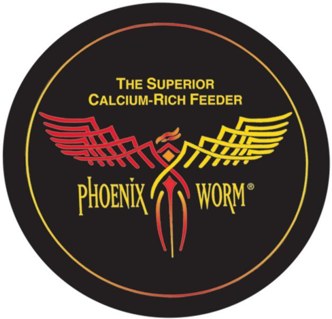 Reptile diet with Phoenix worms, Phoenix worms as reptile food, Nutritional benefits of Phoenix worms for reptiles, Feeding reptiles Phoenix larvae, Phoenix worms in reptile husbandry, Best feeder insects for reptiles, Reptile nutrition with Phoenix larvae, Live Phoenix worm diet for reptiles, Calcium-rich feeders for reptiles, Reptile health and Phoenix worm consumptionHermetia illucens, Phoenix worm nutrition, Calcium-rich feeder insects, Black soldier fly larvae, Nutrient-dense feeder insects, High-calcium insect feeders, Larvae for reptiles, Live feeder insects, Nutritional value of Phoenix worms , Bioactive feeder insects
