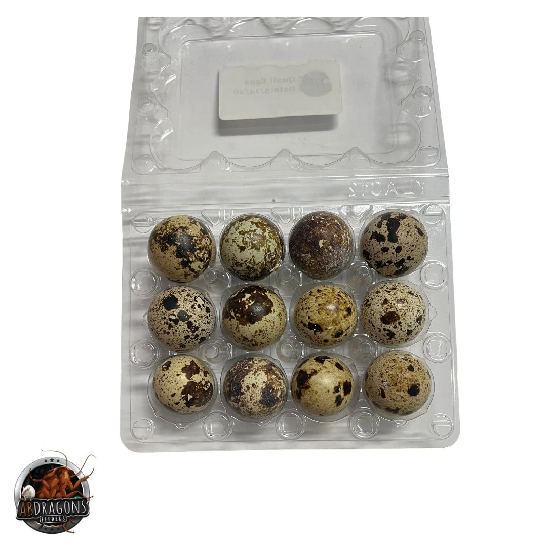 Quail Eggs 12ct.