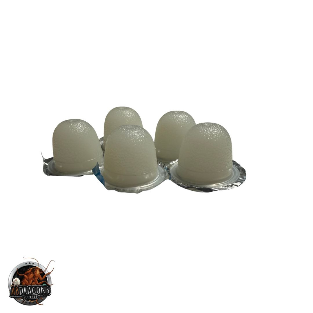 Blue Death Feigning Beetle Jelly 5 Count