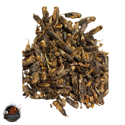 Dried Crickets 