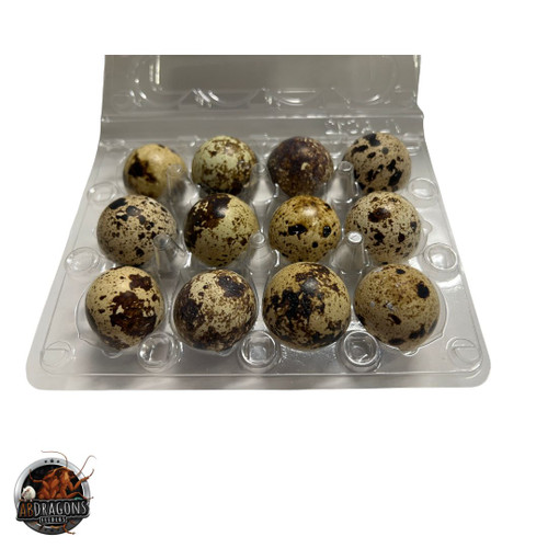Quail Eggs 12ct.