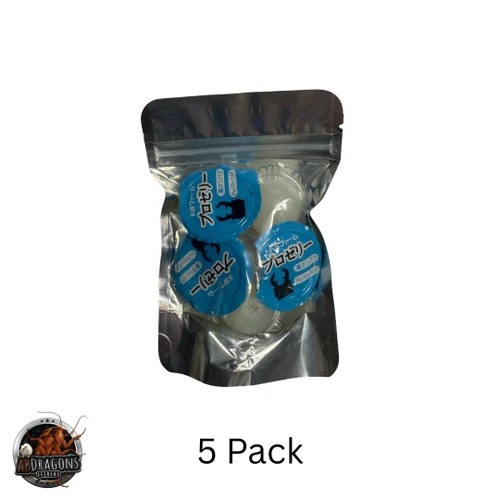 Blue Death Feigning Beetle 