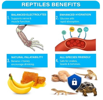 ReptiLyte Electrolyte Drink Supplement with Fruit