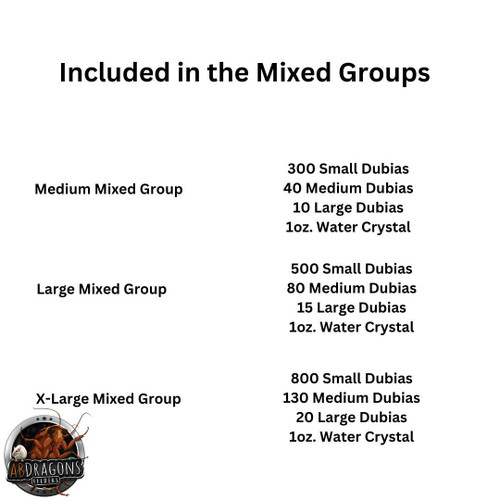 Small DubiaFeeder insect breeding, Feeder insect Supplies, Buy Feeder, Live feeder insect store, dubia roaches,  Best place to buy feeder insects, Insect feeders for sale, Live insect feeders, Feeder insects for sale, Buy feeder insects, Dubia roaches for sale, Reptile feeder insects, Feeder insect care, Feeder insect delivery, Feeder insect subscription, buy dubia roaches, dubia roaches breeders, live dubia roaches, dubia roach colony for sale, dubia roach suppliers, feed dubia roaches, feeder dubia roaches, dubia roach care, where to buy dubia roaches, dubia roach farm, cheap dubia roaches for sale, best place to buy dubia roaches, dubia roach wholesale, dubia roach delivery, dubia roach prices, Reptile feed, live reptile food, reptile, best reptile feeders, reptile live feed, reptile insect food, Reptile insect feed, Live feeder insects for reptiles, Reptile feeder insects, Feeder insects for reptiles, Live insects for reptiles, Reptile feeder insect suppliers, Best feeder insects for reptiles, Buy feeder insects for reptiles, Dubia roaches for reptiles, Feeder insect care for reptiles, Reptile feeder insect colony, Feeder insect delivery for reptiles, Reptile feeder insect subscription, Reptiles eating dubia roaches, Dubia roaches as reptile food, Feeding dubia roaches to reptiles, Dubia roaches for reptile diet, Best dubia roaches for reptile nutrition, Reptile nutrition with dubia roaches, Dubia roaches as reptile feeders, Feeding reptiles dubia roaches, Reptile dietary benefits of dubia roaches, Dubia roaches for reptile health