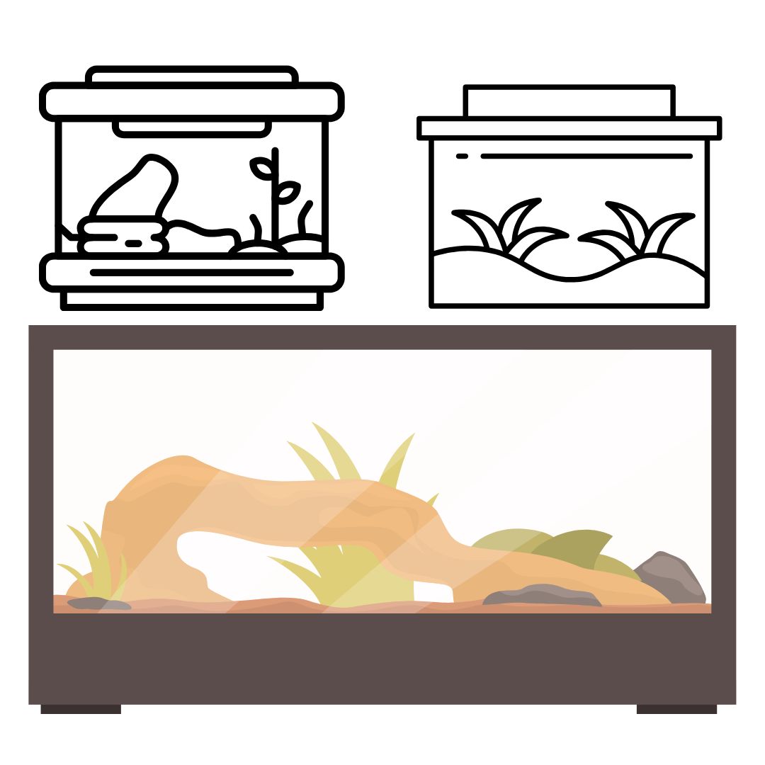 How Does Reptile Bedding Affect Your Pet's Health? How Does Reptile Bedding Affect Your Pet's Health?