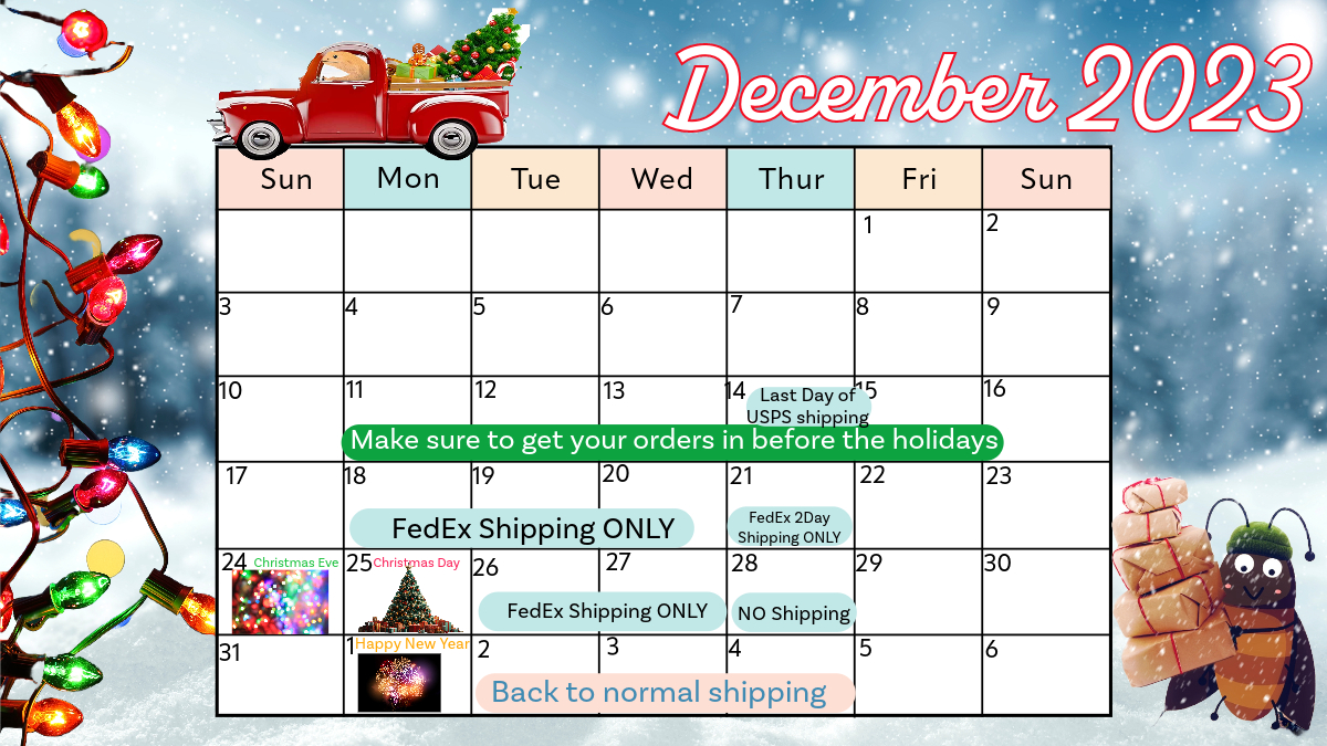 dec-2023-holiday-shipping-4-.jpeg