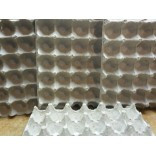 Egg Cartons