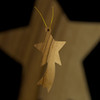 Plain Star Ornament