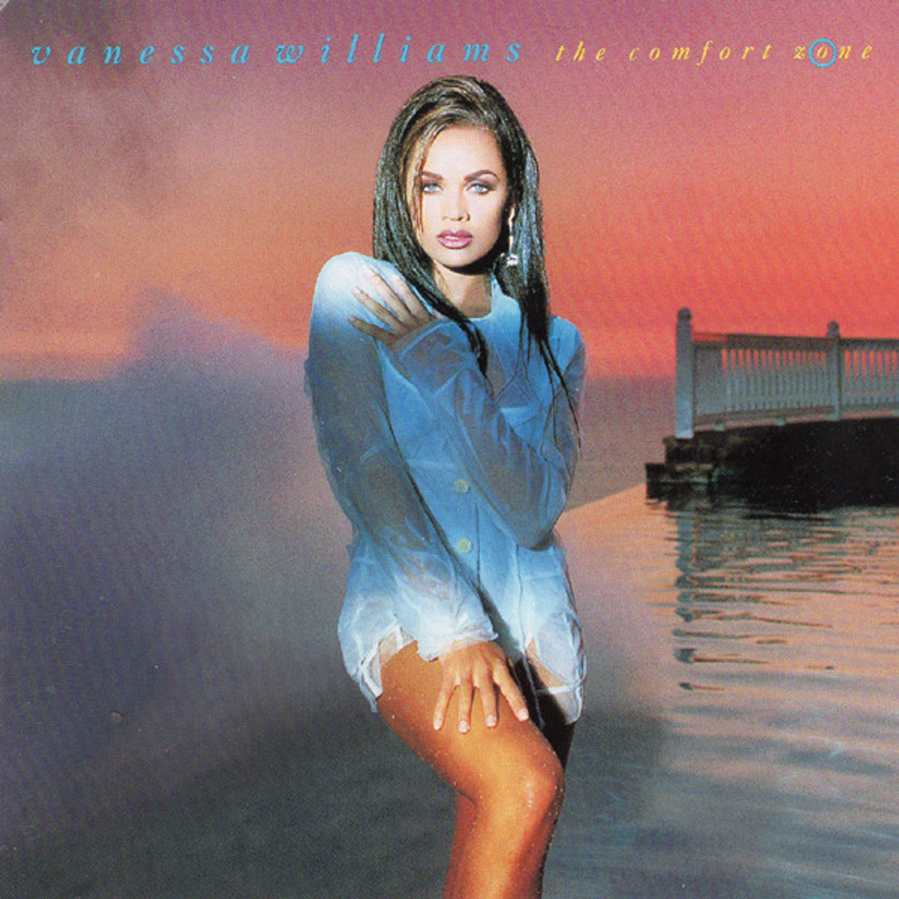USED* THE COMFORT ZONE - WILLIAMS, VANESSA (#042284352222