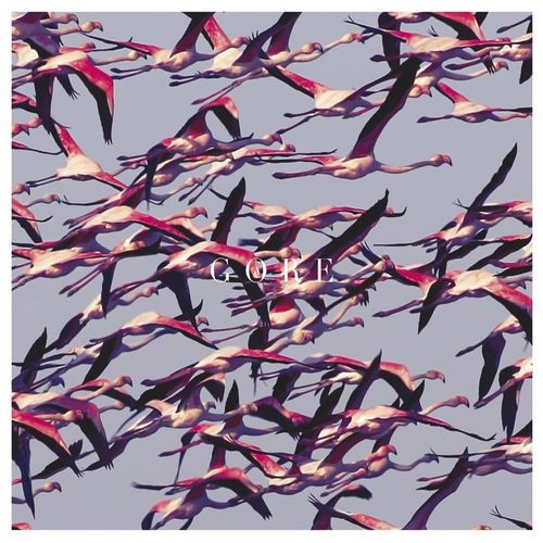 欧2discs LP Deftones Gore 093624926498 Reprise Records /00520 GORE - DEFTONES (#093624926498) - Omega Music