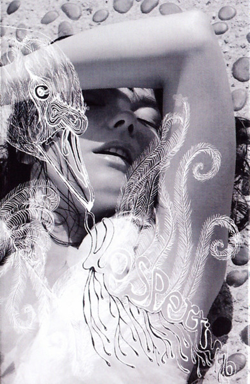 Björk ビョーク Vespertine ヴェスパタイン アナログ 2LP Björk ‎- Vespertine – OLI Records
