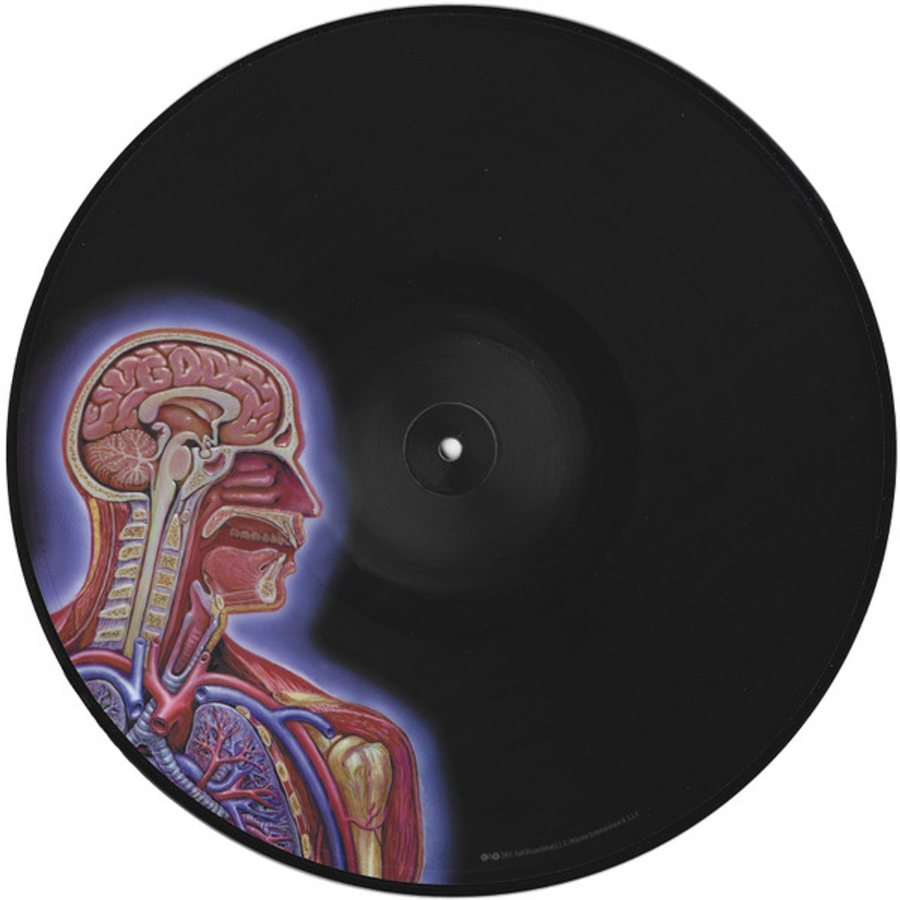 Tool - Lateralus (2x Picture Disc Vinyl LP)