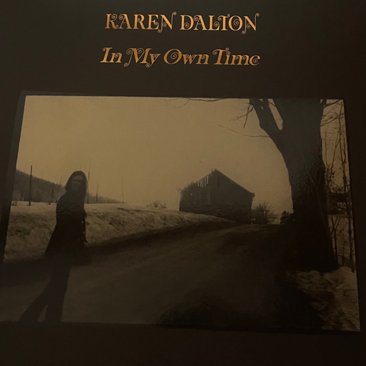 In My Own Time Deluxe - Dalton, Karen (#826853220316) - Omega Music