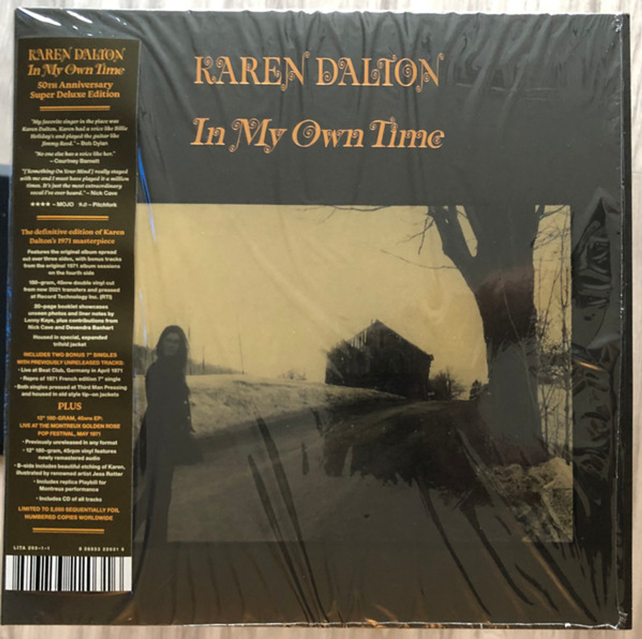 In My Own Time Deluxe - Dalton, Karen (#826853220316)