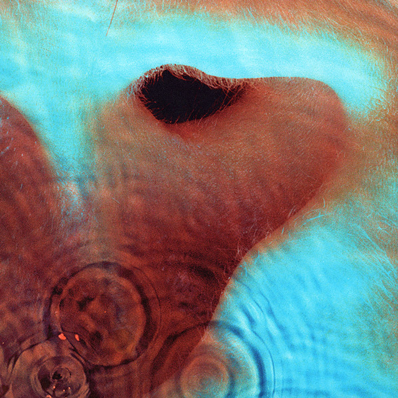 MEDDLE - PINK FLOYD (#888751842311) - Omega Music