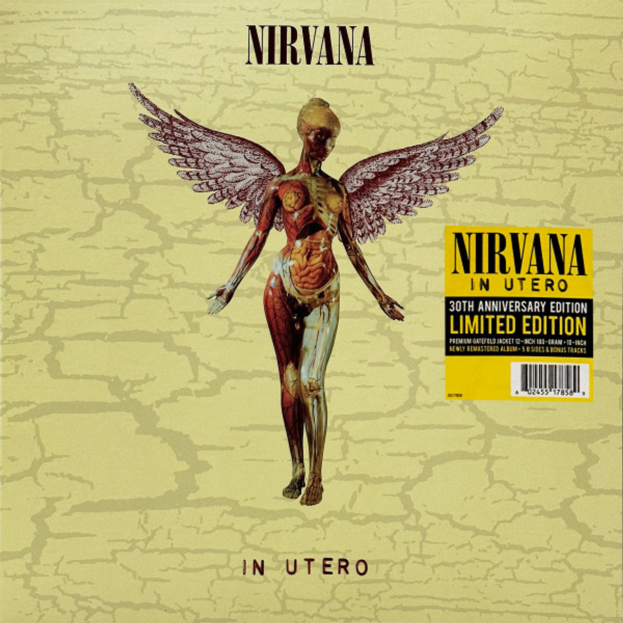 In Utero 30th - Nirvana (#602455178589) - Omega Music