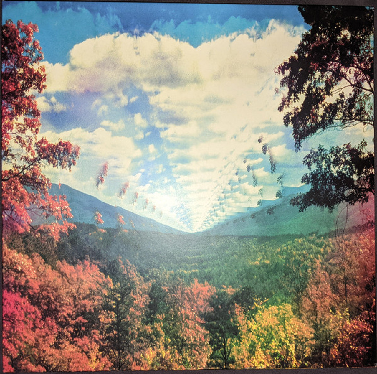 USED* Innerspeaker (2010 ➝ 2020) - Tame Impala