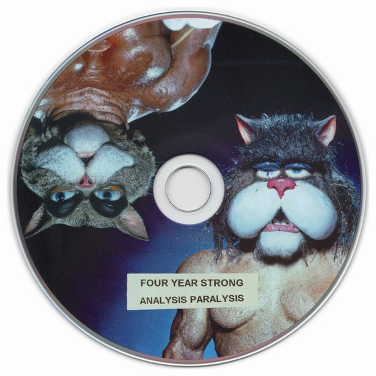 Analysis Paralysis - Four Year Strong (#810540037011