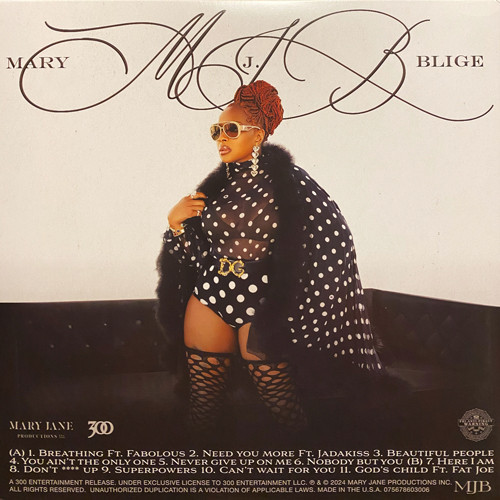 Gratitude - Blige, Mary J (#075678603006) - Omega Music