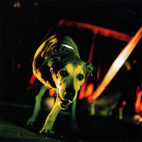 USED* Music Bank - Alice In Chains (#421392919976) - Omega Music