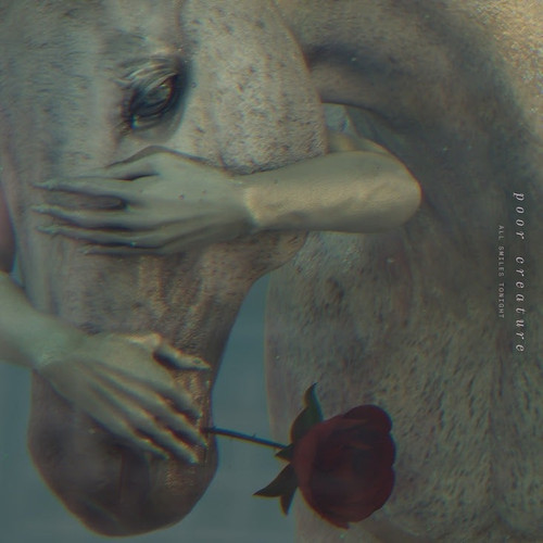 All Smiles Tonight - All Smiles Tonight (#191402803211)