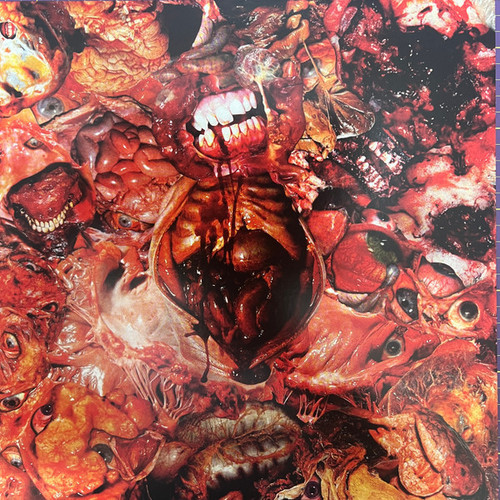 From Demo To Rot - FesterDecay (#781676765218)