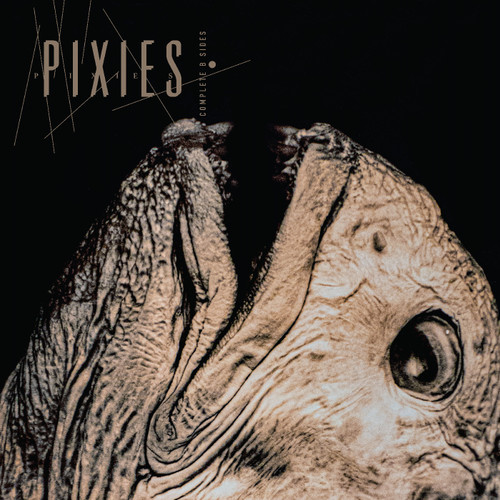  Complete B Sides 1988-97 - PIXIES (#191400087804)