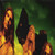DIRT - ALICE IN CHAINS (#074645247526)