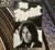 *USED* Neil Young Archives - Vol. I (1963-1972) - Young, Neil  (#093624996057)