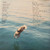 Made the Harbor - Mountain Man (#195893851058)