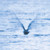MELLOW DREAM - FUKUI, RYO (#4260544825422)