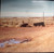 TRAVELLER - STAPLETON, CHRIS (#602547255228)