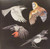 EIGHT GATES - MOLINA, JASON (#656605020310)