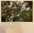 Refuge - Banhart, Devendra & Noah Georgeson (#656606156230)