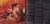 STANKONIA - OUTKAST (#730082607223)