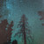 LIFE IS GOOD ON THE OPEN ROAD - TRAMPLED BY TURTLES (#752830934146)