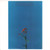 Joanna Newsom & the Ys Street Band EP - Newsom, Joanna (#781484033615)