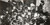 A WEIRD EXITS - THEE OH SEES (#814867021814)