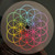 A HEAD FULL OF DREAMS - COLDPLAY (#825646982158)