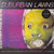 Suburban Lawns - SUBURBAN LAWNS (#857661008797)