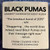 BLACK PUMAS - BLACK PUMAS (#880882358716)