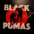 BLACK PUMAS - BLACK PUMAS (#880882358716)