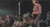 At The Royal Albert Hall - Creedence Clearwater Revival (#888072406629)