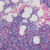Sometimes, Forever - Soccer Mommy (#888072421493)